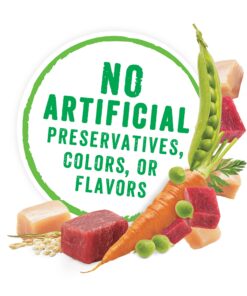 Purina Beneful High Protein, Gravy Wet Dog Food Variety Pack, Prepared Meals Stew - (6) 10 oz. Tubs 6.00 Ounce (Pack of 10) 16 81hz06LP6US