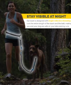 Tuff Mutt Hands Free Dog Leash For Running That Makes A Great Waist Leash for Dog Walking, Double Handle Bungee Leash with Reflective Stitching and Adjustable Dog Walking Belt green/gray 29 81hz5iZSpSL