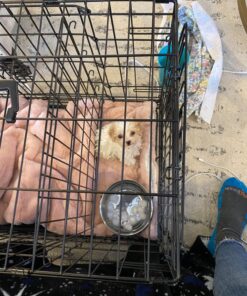 MidWest Homes for Pets Snap'y Fit Food Bowl | Pet Bowl, 20 oz. (2.5 cups) | Dog Bowl Easily Affixes to a Metal Dog Crate, Cat Cage or Bird Cage | Pet Bowl Measures 6L x 6W x 2H Inches,Silver 20 Ounces (2.5 cups) 34 81hzAvik7L