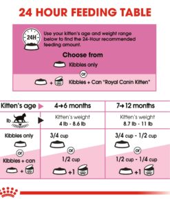 Royal Canin Feline Health Nutrition Kitten Dry Cat Food, 7 lb bag 7 Pound (Pack of 1) 24 81i M3ixNIL 1