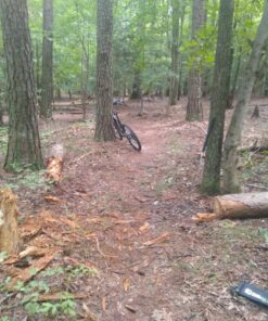 Silky KATANABOY Professional 500mm Folding Saw XL Teeth (403-50) 35 81i1bDAEcdL