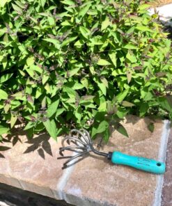 DeWit 5-Tine Cultivator with Short Handle, Lightweight & Durable Garden Tool with Comfortable Grip 9 81i9KBCzzZL