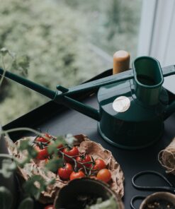 Haws Handy Indoor Plastic Watering Can, 1 US Pint, Green, 0.2 gallon (V127GR) Yellow 5 81iGxI5EsL