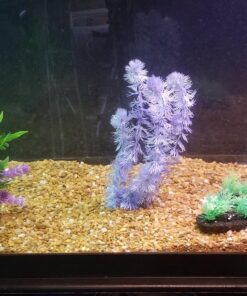 Marineland Emperor Power Filter Cartridge Rite-Size E, 4 Count, Replacement Cartridge For Aquarium Filtration, E - Purple, 4 Count (Pack of 1) 4 Count (Pack of 1) 31 81iHLtcnQiL