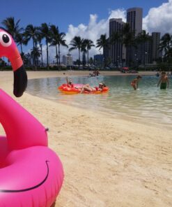 Intex Lobster Ride-On 24 81iILJFeNjL