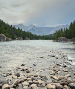 Nikon D5300 24.2 MP CMOS Digital SLR Camera with 18-55mm f/3.5-5.6G ED VR Auto Focus-S DX NIKKOR Zoom Lens (Black) 81 81iQkQmKWdL