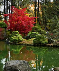 Nikon D5300 24.2 MP CMOS Digital SLR Camera with 18-55mm f/3.5-5.6G ED VR Auto Focus-S DX NIKKOR Zoom Lens (Black) 74 81iTpiiKxFL