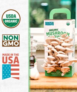 Back to the Roots Organic Oyster Mushroom Grow Kit, Harvest Gourmet Mushrooms In 10 Days 1 Count (Pack of 1) 46 81iV1WJyQUL