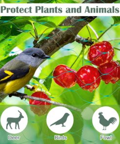 CandyHome 13Ft x 33Ft Anti Bird Protection Mesh Garden Netting Seedlings Plants Flowers Fruit Trees Vegetables from Rodents Deer Reusable Fencing, 13Ft x 33Ft, Green 21 81iXfBpbOEL