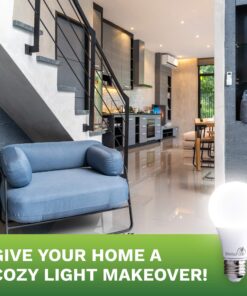 Bioluz LED 40 Watt LED Light Bulbs 2700K Warm White 6 Watts = 40W Non-Dimmable A19 LED Light Bulbs 6 Pack 6 Count (Pack of 1) 22 81iby4j nBL