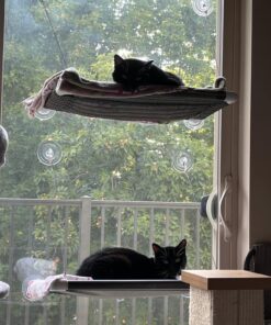 Kitty Cot Original World's Best Cat Perch (Large) Black Color Kitty Cot Large 49 81icOE5pdTL