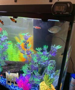 ZACRO 2 Pack Digital Aquarium Thermometer, Fish Tank Thermometer, Water Thermometer with Large LCD Display,Reptile Thermometer for Fish Tank Water Terrarium 48 81ieYd5BFsL