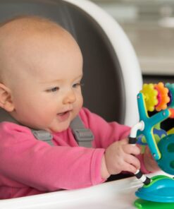 Sassy Teethe & Twirl Sensation Station 2-in-1 Suction Cup High Chair Toy | Developmental Tray Toy for Early Learning | for Ages 6 Months and Up 21 81igZyKD4mL