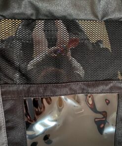 BOB Gear Revolution Flex 3.0 Jogging Stroller, Graphite Black Single 35 81ij63MLRRL