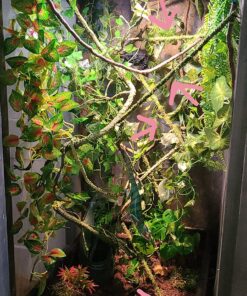 Galápagos (05320) Mossy Terrarium Sticks 18" (Pack of 6) 18" Green 21 81ikFwP7hTL