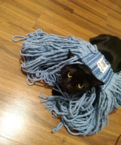 Rubbermaid Commercial Products Universal Headband Blend Mop, Blue, Looped Ends to Reduce Fraying, Heavy Duty Industrial Wet Mop For Floor Cleaning Office/School/Stadium/Lobby/Restaurant Single 10 81ilNmWZdqL