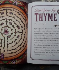 The Illustrated Herbiary: Guidance and Rituals from 36 Bewitching Botanicals (Wild Wisdom) 35 81iq5X5IJqL