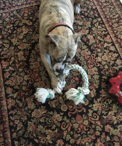 Booda Fresh N Floss 3 Knot Tug Rope Dog Toy, X-Large, Spearmint 30 81iqckN3kwL