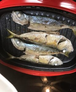 Microhearth Grill Pan for Microwave Cooking, Red 32 81iqlKllJqL