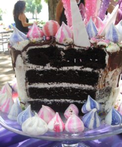 Cacao Barry Cocoa Powder 100% Cocoa Extra Brute, 2.2 lb Chocolate 2.2 Pound (Pack of 1) 26 81iwqgeYd L