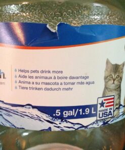 Petmate Replendish Automatic Gravity Waterer for Cats and Dogs, BPA-Free, No Batteries Required, Includes Charcoal Filter, 0.5 Gallon,Silver Silver 0.5 GAL 55 81ixo3gbhsL