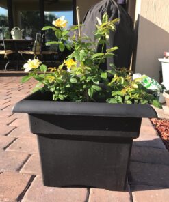 Bloem Veranda Deck Box Planter Square: 18" - Black 18" 41 81ixtBjiDNL