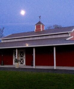 Good Directions 955P Smithsonian Eagle Weathervane, Pure Copper 36 81izACoJaHL