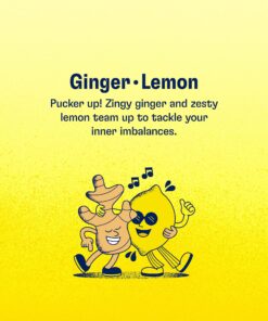 Health-Ade Canned Kombucha Tea Organic Drink, Fermented Tea with Living Probiotics, Detoxifying Acids, Supports Gut Health, Non-GMO, Vegan, Gluten Free, 12 Pack (11.5 Fl Oz Cans), Ginger-Lemon Kombucha in Cans 17 81j01dslVqL 1