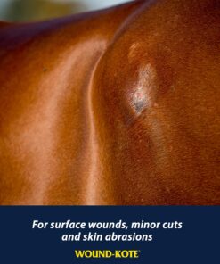 Farnam Wound-Kote Blue Lotion Spray Horse Wound Care for use on Horses and Dogs, Antiseptic Properties, for Minor Wounds, Cuts and Sores, 5 Oz 9 81j288Vd9QL