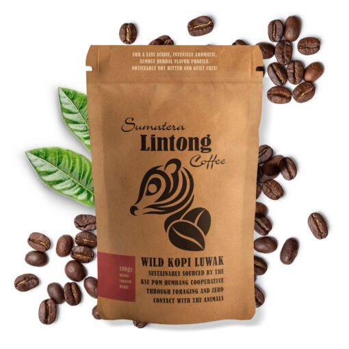 Wild Kopi Luwak, the World’s Most Exclusive Coffee, Sustainably Sourced From Sumatra, Indonesia (100gr / 3.5oz)