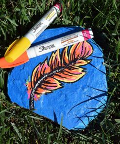 SHARPIE Oil-Based Paint Markers, Medium Point, Assorted Colors, 5 Count (Packaging May Vary) - Great for Rock Painting Classic Assorted 5-Count Medium Tip 22 81jBIoDHgHL