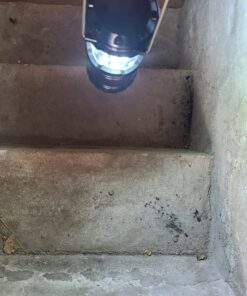 Etekcity Camping Lantern for Emergency Light Hurricane Supplies, Accessories Gear Tent Lights, Lanterns Battery Powered LED for Power Outages, Survival Kits, Operated Lamp, 4 Pack,Black 40 81jDzc4nzuL