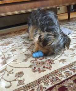 KONG - Puppy Toy Natural Teething Rubber - Fun to Chew, Chase and Fetch - for Small Puppies - Blue 35 81jFPXWpjAL