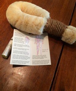 Ginger Chi Dry Brush for Skin, Dry Brushes for Body - Natural Bristle Brush for Dry Brushing Skin (Sisal Dry Brush) 23 81jGb4r 5PL