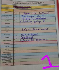 EXPO Vis-a-Vis Wet Erase Markers, Fine Point, Assorted Colors, 8 Count 8 Count (Pack of 1) 38 81jJD25BblL