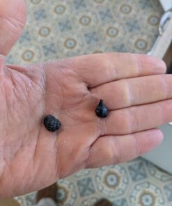 Rubbermaid Commercial Products 2-Shelf Utility/Service Cart, Medium, Lipped Shelves, Ergonomic Handle, 500 Lbs Capacity, for Warehouse/Garage/Cleaning/Manufacturing (FG452088BlA) Black 57 81jKMkXz5CL