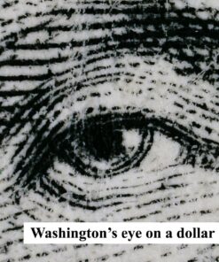 Celestron 44314 FlipView Handheld LCD Microscope (Grey) 37 81jLQWbPUaL