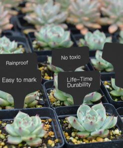 Prudance® 50pcs T Tag Plant Markers - Premium Nursery Garden Labels - Black 26 81jMZhs4E9L