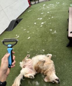 Pet Grooming Brush and Metal Comb Combo, Cat Brush Dog Brush for Shedding, Undercoat Rake for Dogs Grooming Supplies, Dematting Deshedding Brush Dogs Shedding Tool for Long matted Haired Pets, Blue 27 81jOk6j WL