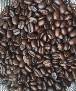 Wabash poppers with kernels (Nylon Gear, Silver) Nylon Gear 40 81jPVX7p95L