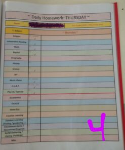 EXPO Vis-a-Vis Wet Erase Markers, Fine Point, Assorted Colors, 8 Count 8 Count (Pack of 1) 39 81jSLjzWgsL