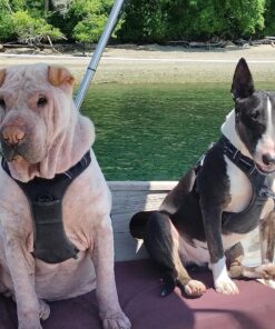 Earth Rated Dog Poop Bags, Guaranteed Leak Proof and Extra Thick Waste Bag Refill Rolls For Dogs, Unscented, 120 Count 120 Bags 30 81jUK93zvkL