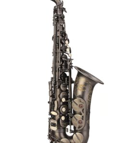 GLORY Engraved Flower High Grade Antique Finish Series PR3, E Flat Alto Saxophone with 11reeds,8 Pads Cushions,case,carekit 11 81jV5eiGtjL
