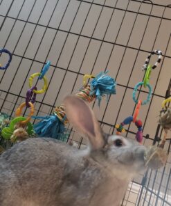 Sassy Ring O Links 9 Piece Set 16 81jW7TvLT L