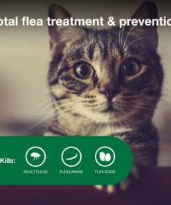 Advantage II Small Cat Vet-Recommended Flea Treatment & Prevention | Cats 5-9 lbs. | 6-Month Supply 6 Pack Small Cat only 21 81jacs9nvOL