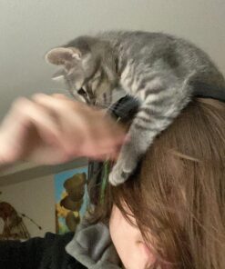 Turtle Beach Stealth 600 Gen 2 USB Wireless Amplified Gaming Headset - Licensed for Xbox Series X, Xbox Series S, & Xbox One - 24+ Hour Battery, 50mm Speakers, Flip-to-Mute Mic, Spatial Audio - Black Stealth 600 USB 35 81jbCYQDNL