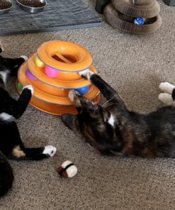 Catstages Tower of Tracks Interactive 3-Tier Cat Toy 35 81jcWtaPnPL