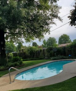 Natural Chemistry Phosfree, 3-Liter 1-Pack 24 81jfMhBQNkL