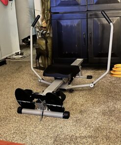 Sunny Health & Fitness Smart Compact Full Motion Rowing Machine, Full-Body Workout, Low-Impact, Extra-Long Rail, 350 LB Weight Capacity and Optional SunnyFit® App Enhanced Bluetooth Connectivity SF-RW5639 55 81jg0X1IxKL