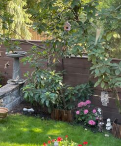 Dawhud Direct Hanging Bird Houses for Outside, Hand-Painted Bird Houses for Outdoors Decorative Birdhouses (Butterfly and Flowers Welcome) Butterfly and Flowers Welcome 26 81jh8NaXFeL